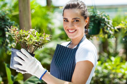Tree pruning service for homes and businesses in Ruislip
