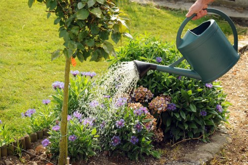 Commercial hedge maintenance and trimming in the Ruislip area