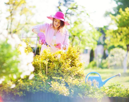Professional tree pruning for better access at a Ruislip business