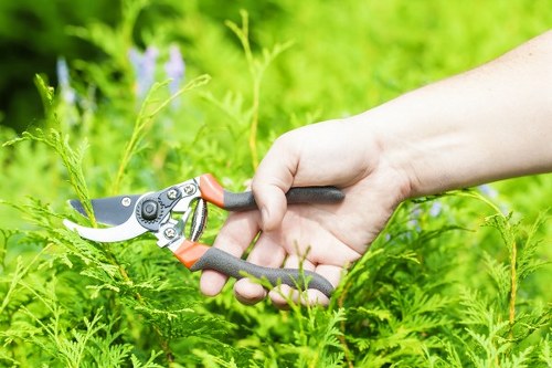 Branches and green waste loaded for cubic-yard based removal pricing