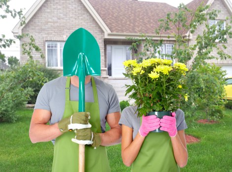 Secure card payment options for tree surgery services